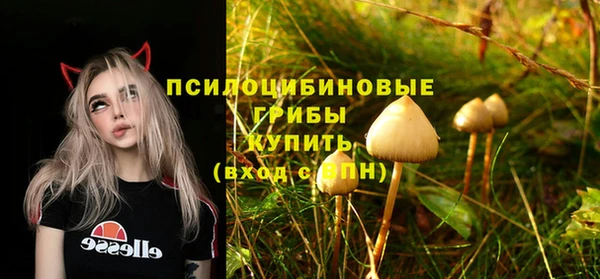 2c-b Балабаново