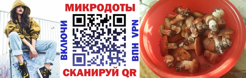 Галлюциногенные грибы Cubensis  Ливны 